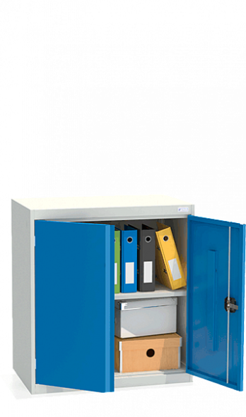 Шкаф архивный ШХА/2-850(50)