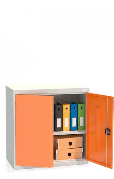 Шкаф архивный ШХА/2-900(50)