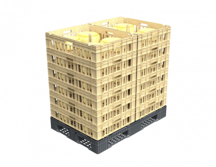 Ящик для созревания сыра (800х600х175)